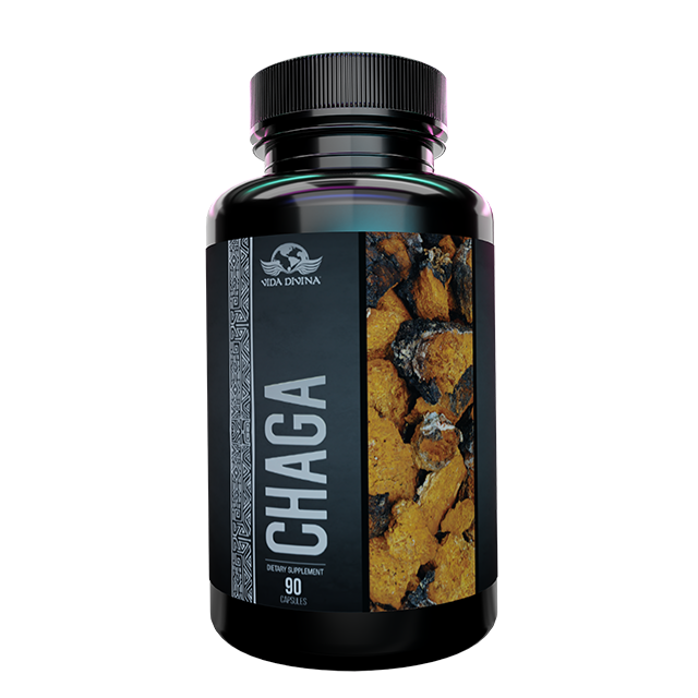 Chaga